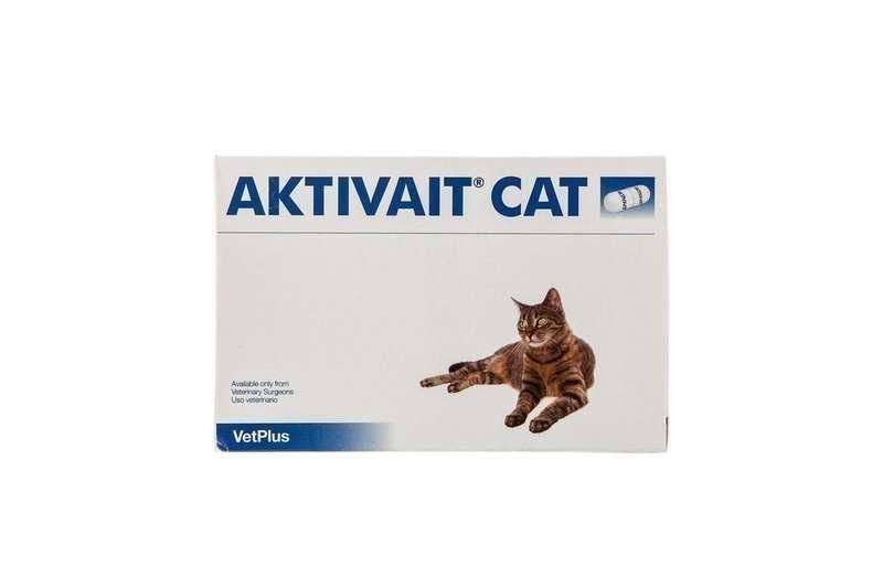 Aktivait Cat Thumbnail