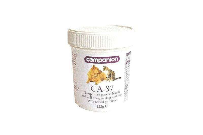 Companion CA-37 Thumbnail Companion CA-37 Thumbnail