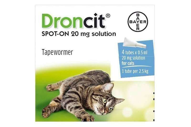 Droncit Spot On Cat Thumbnail Droncit Spot On Cat Thumbnail