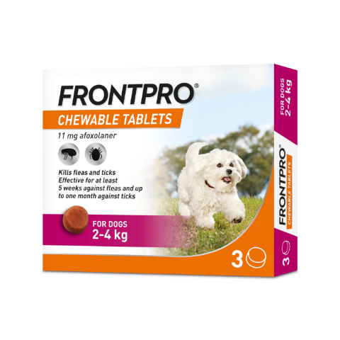 Frontpro Chewable Tablets for Dogs Pack of 3 Thumbnail Frontpro Chewable Tablets for Dogs Pack of 3 Thumbnail