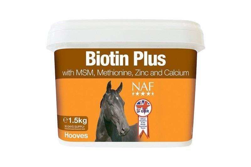 Biotin Plus Thumbnail Biotin Plus Thumbnail