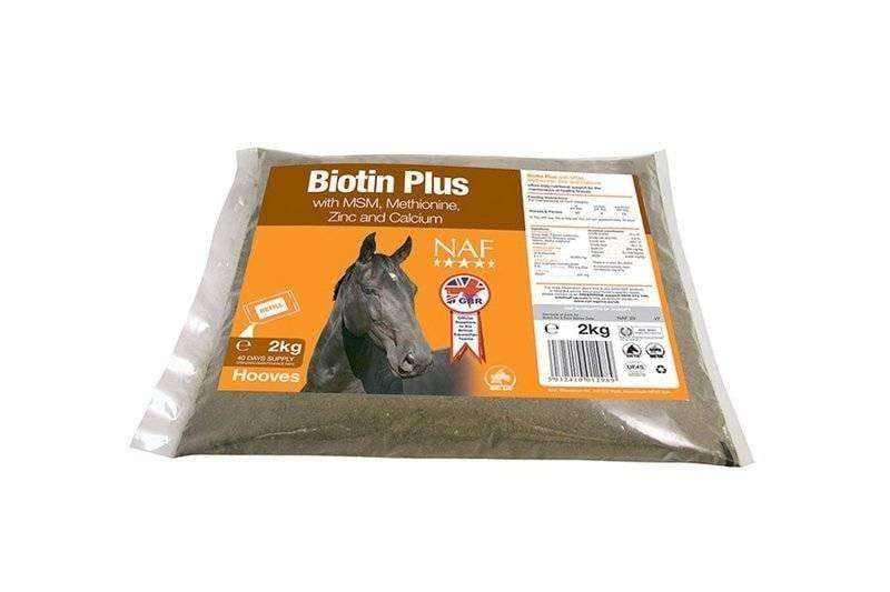 Biotin Plus Thumbnail Biotin Plus Thumbnail