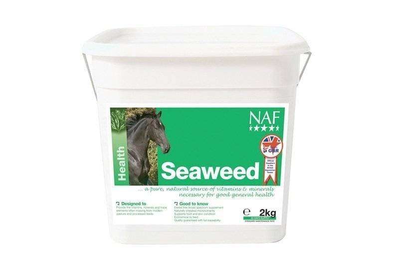 Seaweed Thumbnail