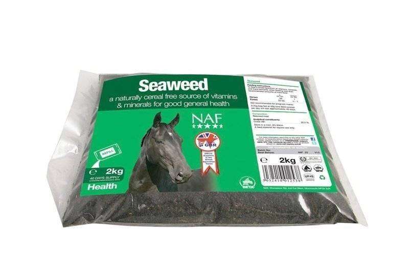 Seaweed Thumbnail