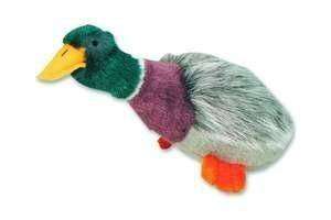 Migrator Mallard