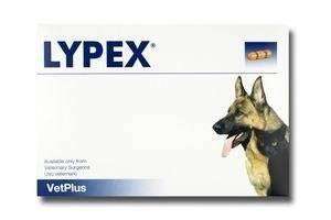 Lypex Capsules