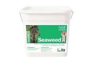 Seaweed