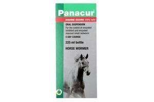 Panacur Equine Guard