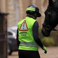 Yellow Equi-Flector Safety Vest