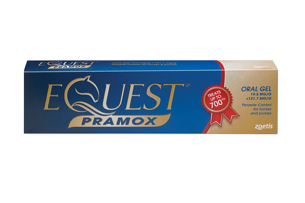 Equest Pramox horse wormer